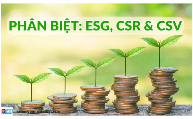 ESG, CSR & CSV - Doanh nghiệp nên chọn yếu tố nào để bước đi bền vững