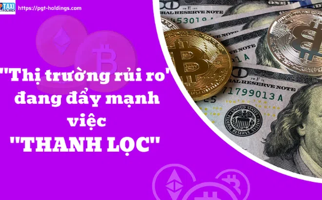 "Thị trường rủi ro" đang đẩy mạnh việc thanh lọc thị trường