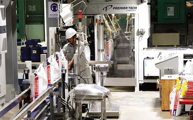 6 tháng đầu năm, Việt Nam nhập khẩu trên 8 triệu tấn thức ăn chăn nuôi