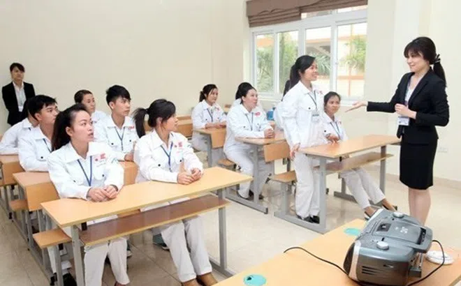 3 doanh nghiệp được chấp thuận cung ứng lao động đi làm việc tại Hy Lạp