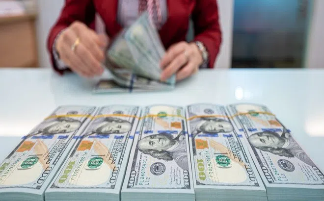 Tỷ giá USD hôm nay (23/8): Tỷ giá trung tâm tăng 12 đồng