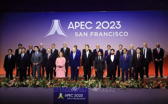 Khẳng định vị thế Việt Nam trong APEC