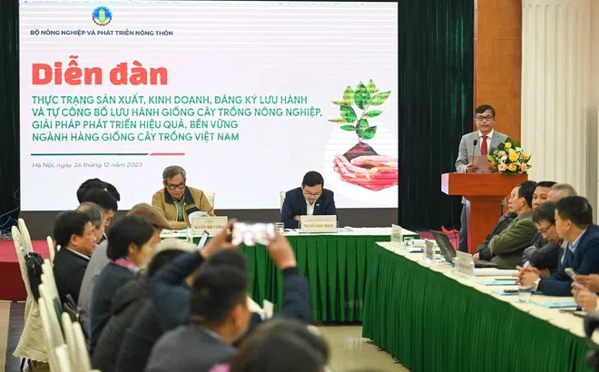 Bàn chính sách phù hợp cho sản xuất, phát triển bền vững ngành giống cây trồng Việt Nam