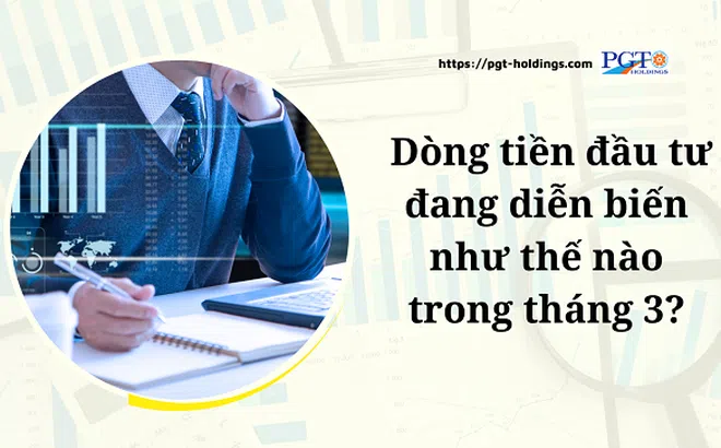 Dòng tiền đầu tư đang diễn biến như thế nào trong tháng 3?