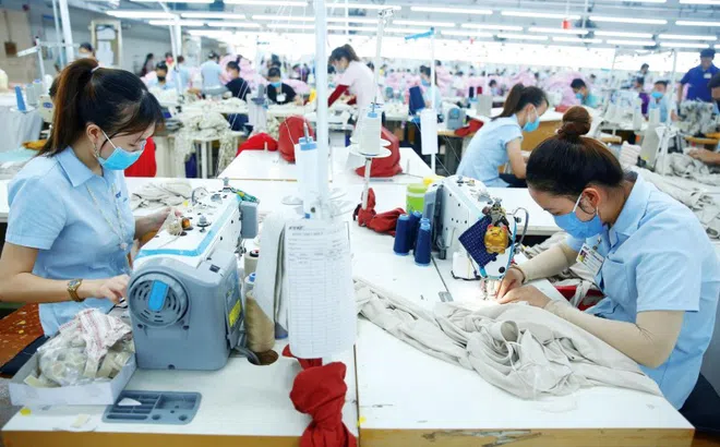 TP Hồ Chí Minh: Thưởng Tết cao nhất hơn 1,9 tỉ đồng