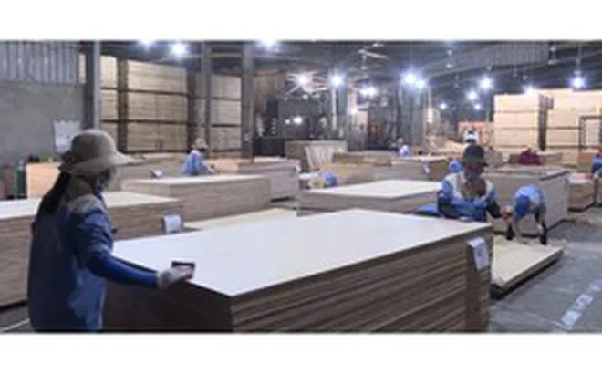 Thanh Hóa thu ngân sách trên 56 nghìn tỷ đồng