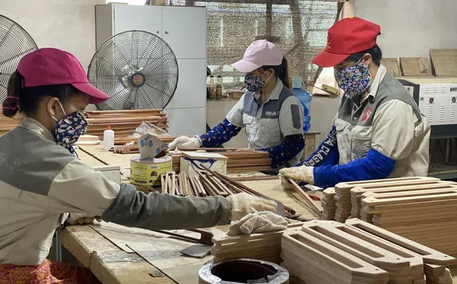 Năm 2024, xuất khẩu gỗ và sản phẩm gỗ đạt 16,25 tỷ USD