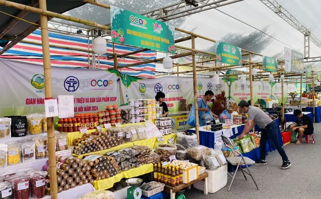 Hà Nội điểm sáng trong xây dựng mạng lưới sản xuất - tiêu dùng bền vững