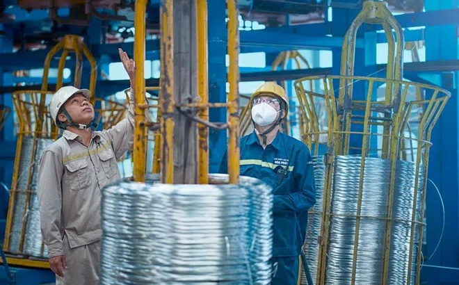 Thép dây mạ kẽm Hòa Phát hưởng thuế thấp hơn các doanh nghiệp khác 27 lần