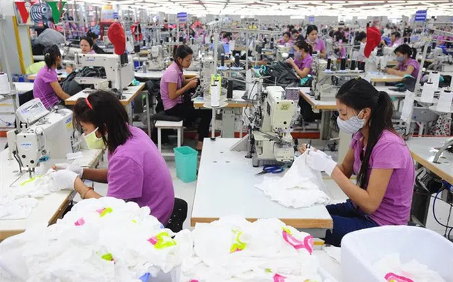 Doanh nghiệp dệt may điêu đứng vì bị hoãn, hủy đơn hàng