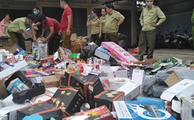 Gia Lai: Giám sát tiêu hủy trên 10 tấn hàng hóa không đủ điều kiện lưu thông trên thị trường