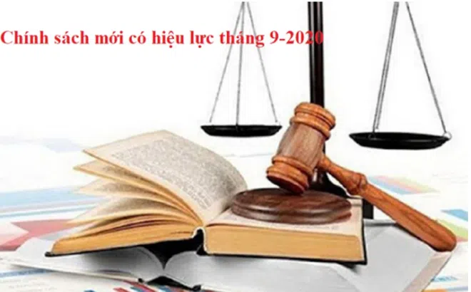 Chính sách mới có hiệu lực tháng 9/2020