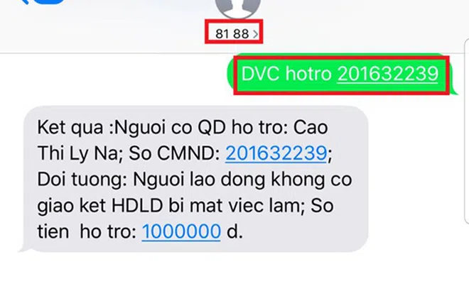 Đà Nẵng: Dễ dàng tra cứu thông tin hỗ trợ người dân gặp khó khăn do dịch Covid-19