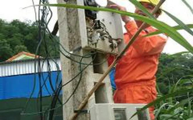 Điện lực Nghệ An: Tăng cường kiểm tra, xử lý các hành vi vi phạm sử dụng điện