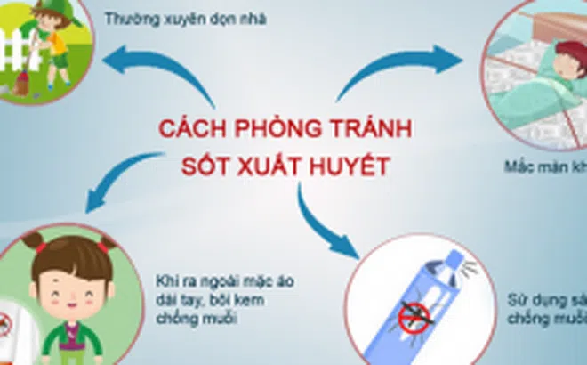 Bộ Y tế chỉ cách phòng bệnh sốt xuất huyết hiệu quả