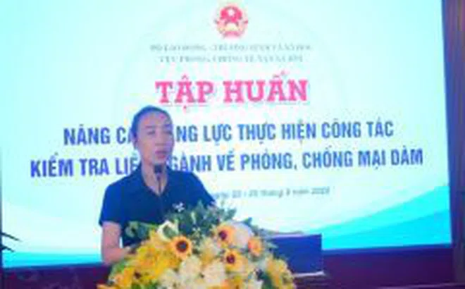 Huế: Nâng cao năng lực kiểm tra liên ngành phòng, chống mại dâm