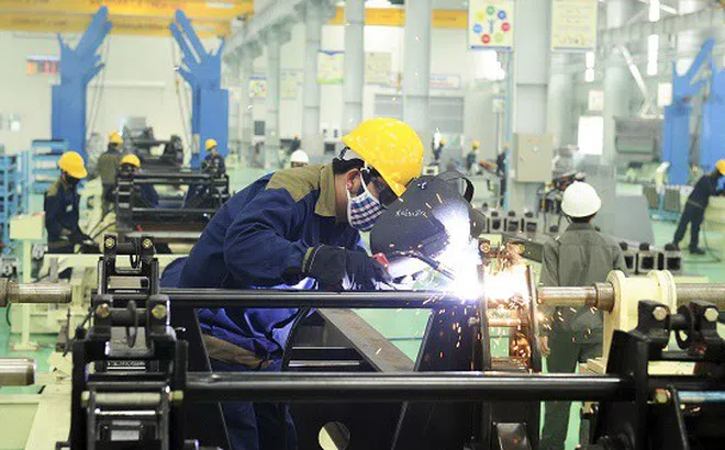 Kinh tế tư nhân: Động lực quan trọng của nền kinh tế