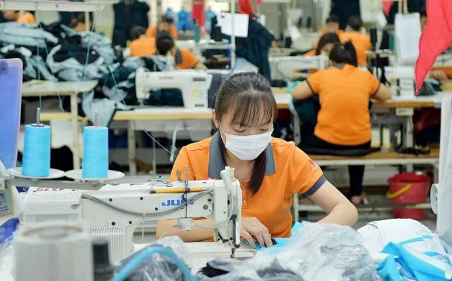 Việt Nam và Ấn Độ có nhiều tiềm năng để thúc đẩy hợp tác dệt may