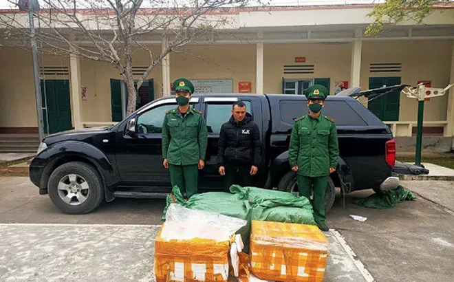 Quảng Ninh: Thu giữ hơn 700 kg nầm lợn nhập lậu