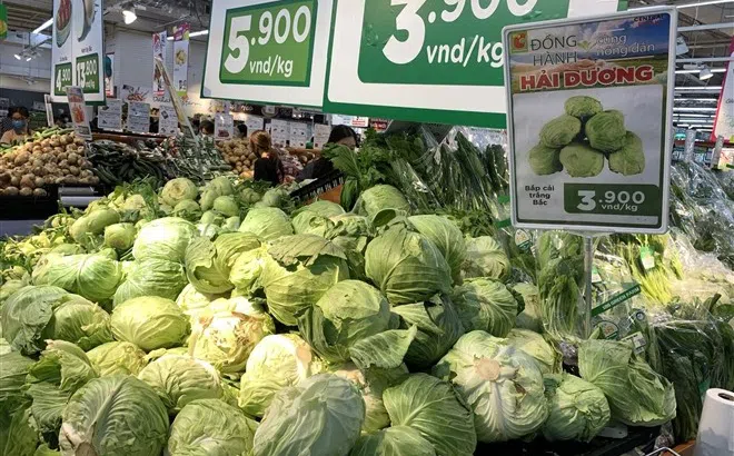 Chính phủ chỉ đạo tháo gỡ khó khăn trong lưu thông hàng hóa do dịch Covid -19