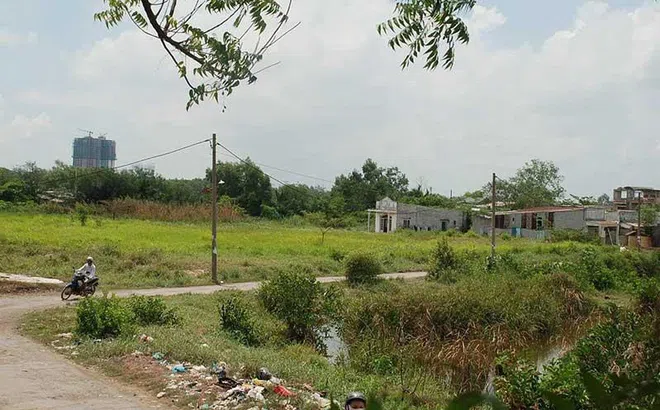 Củ Chi kiến nghị chuyển đổi 17.000 ha đất nông nghiệp sang chức năng khác