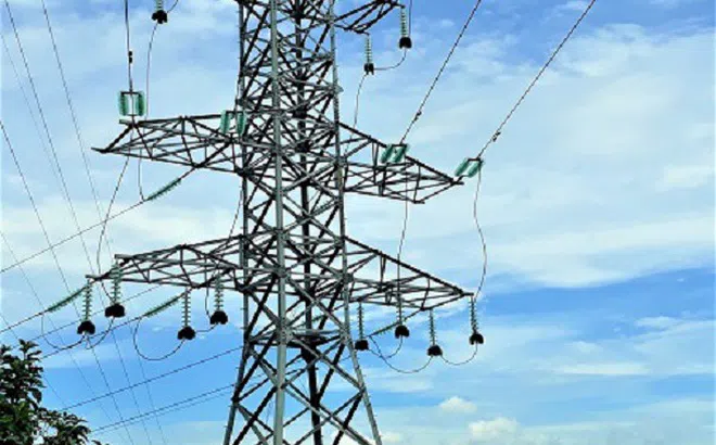 Điện lực Ninh Bình xử lý kịp thời các trường hợp có nguy cơ gây sự cố đối với hành lang lưới điện