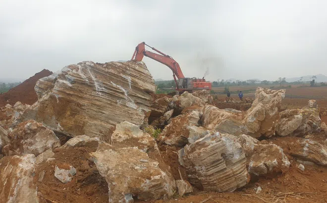 Nghĩa Đàn – Nghệ An: “Nóng” nạn khai thác, vận chuyển đá cảnh cổ thạch trái phép