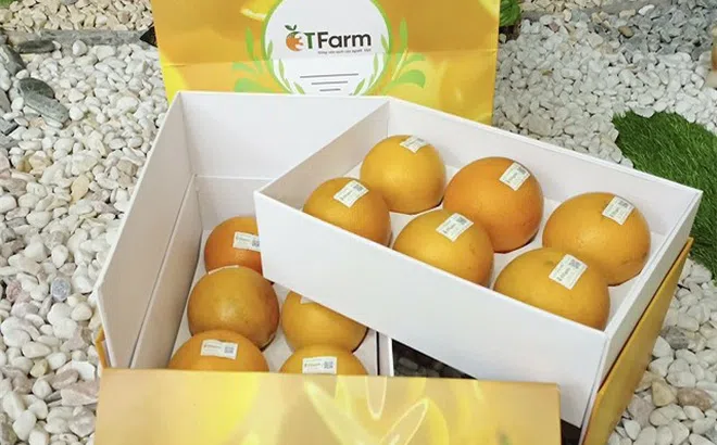 HTX thành công từ sản xuất xanh, sạch, an toàn