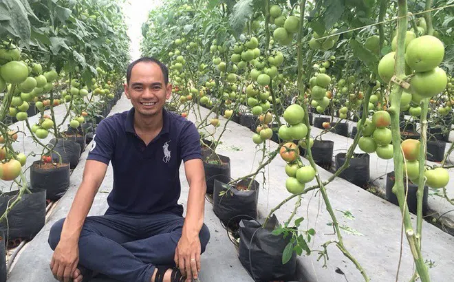 CEO Vietponics Nguyễn Đức Huy: Hộp rau gia đình, giao hàng tận nơi đủ gồng gánh qua đại dịch Covid-19