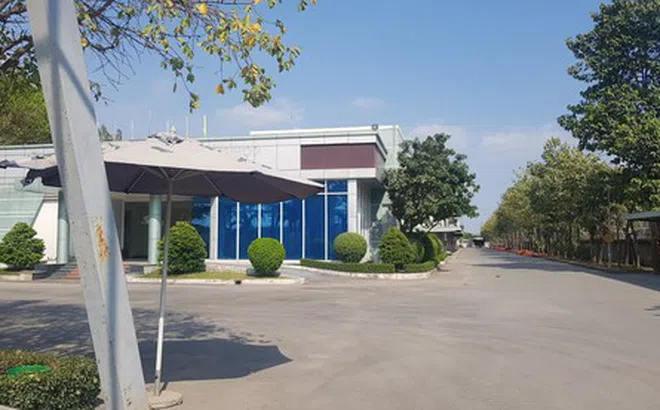 Bệnh nhân 247 tại Đồng Nai sống cùng vợ mang thai 4 tháng, không đeo khẩu trang ở nơi làm việc