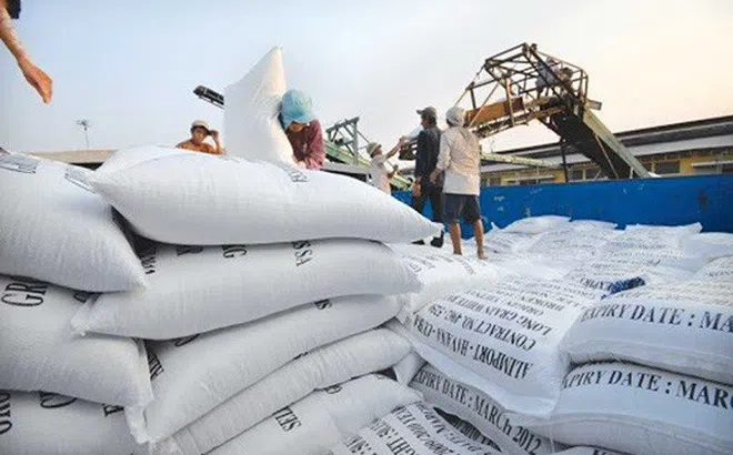 Bộ Công Thương đề nghị Bộ Tài chính thống kê lượng gạo khai khống nhằm giữ chỗ