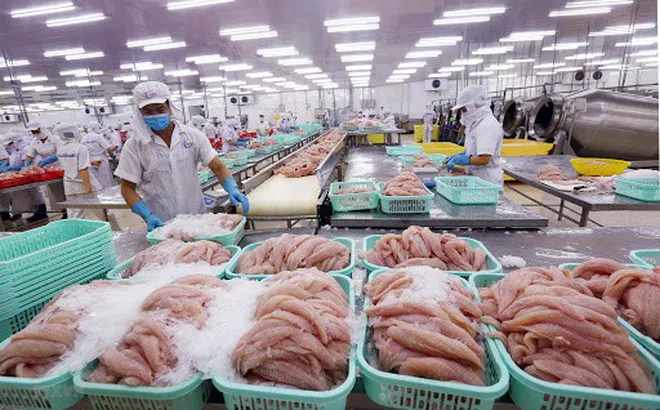 Cần các biện pháp hỗ trợ, duy trì hoạt động ngành thủy sản trước tác động của Covid-19