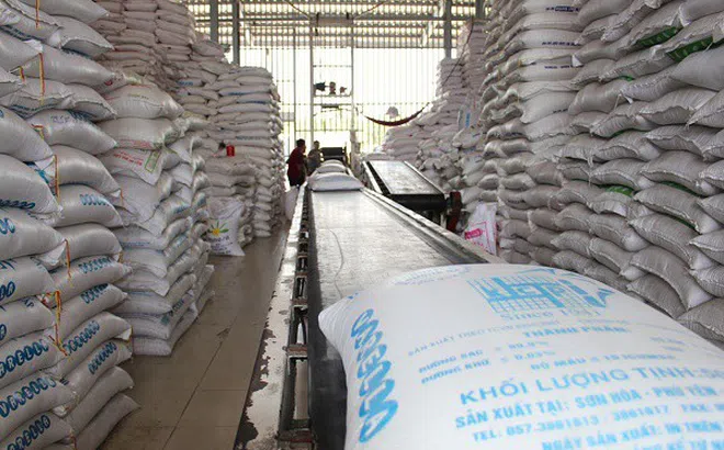 Làm rõ, xử lý nghiêm sai phạm trong đấu thầu mua gạo dự trữ quốc gia 2020