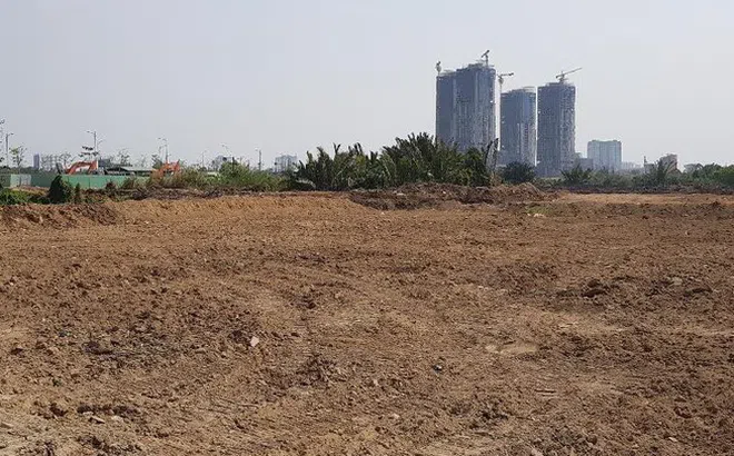 TP.HCM: Dự án chậm triển khai để đất hoang sẽ kiên quyết thu hồi
