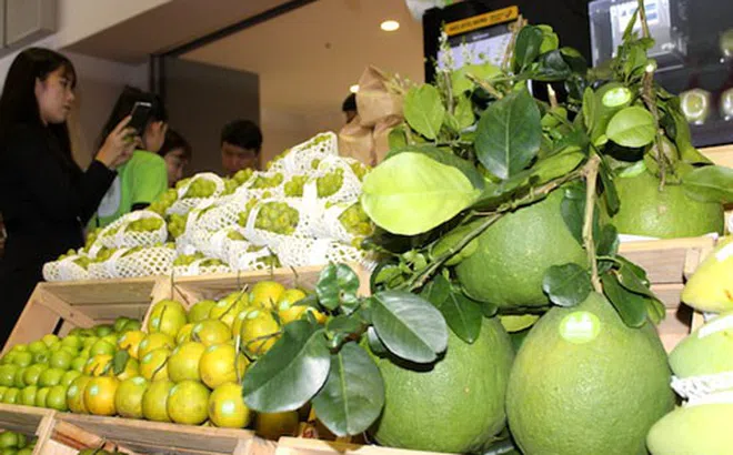 Khai phá ‘mỏ vàng’ xuất khẩu nông sản trực tuyến