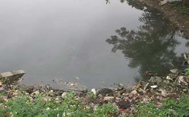 Hải Phòng: Bảo vệ nguồn nước, đảm bảo cấp nước an toàn cho người dân