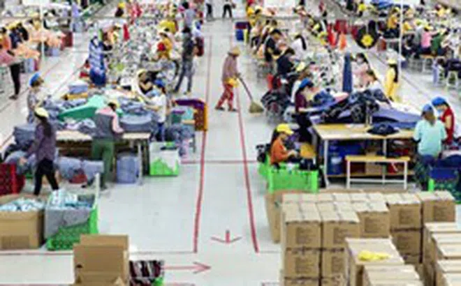 Kinh tế Việt Nam là điểm sáng của khu vực châu Á - Thái Bình Dương