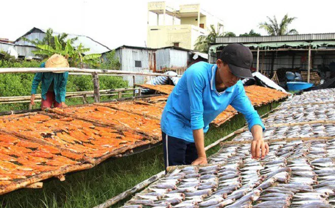 Đồng bằng sông Cửu Long: Tất bật khẩn trương tạo ra nhiều sản phẩm cung ứng cho thị trường tết